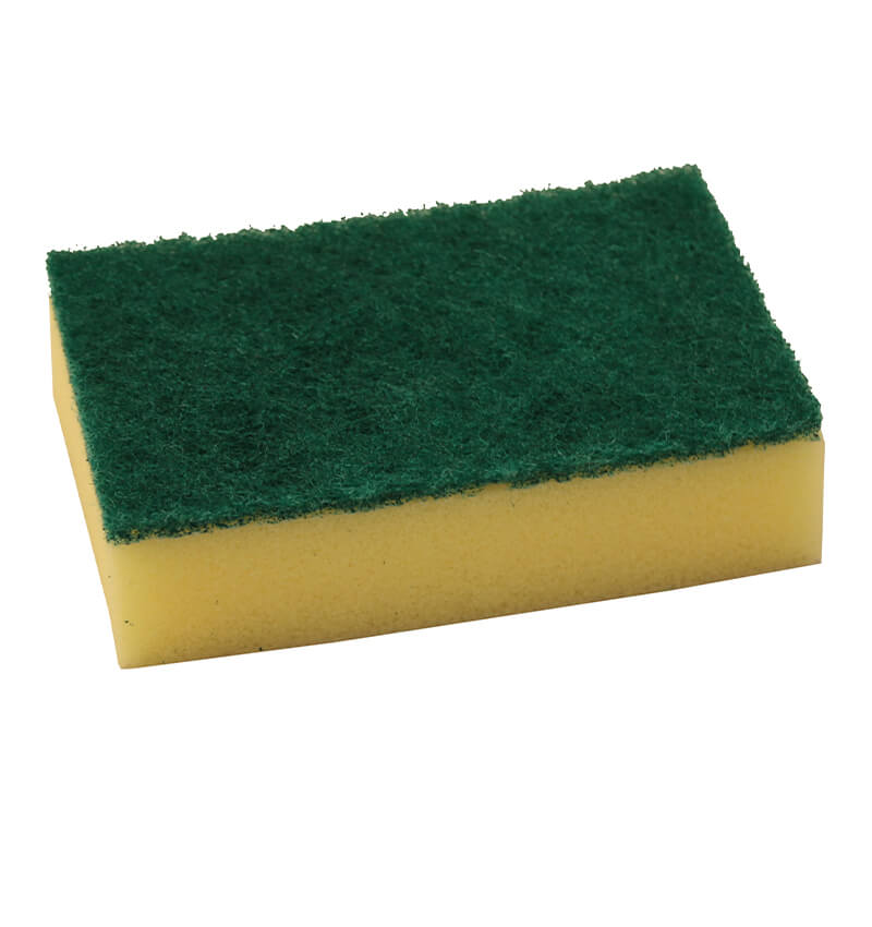 Economy Sponge Scourer