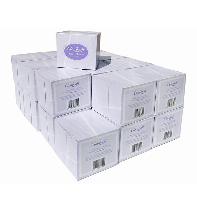 Cube White 2 Ply Facial Tissue 70 Sheets 24 Pack