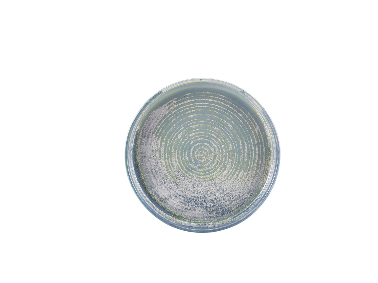 Terra Porcelain Seafoam Presentation Plate 20.5cm 6 Pack